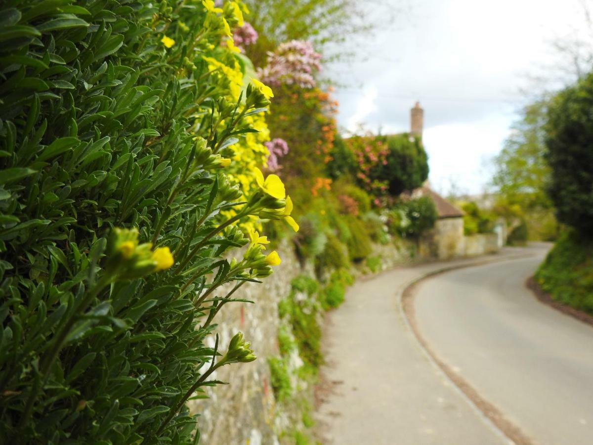 Church Combe - Petworth West Sussex Exterior foto
